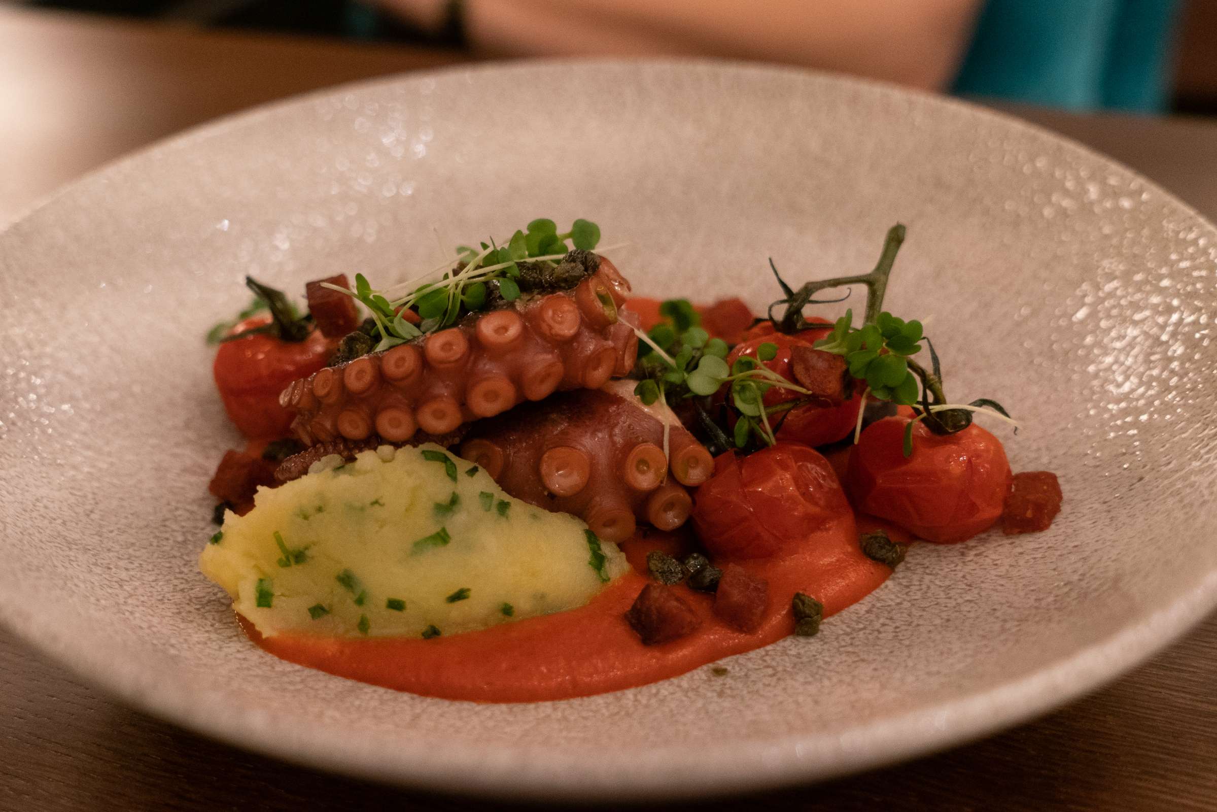 Biblioteka: Octopus © Bachtrack Ltd | David Karlin