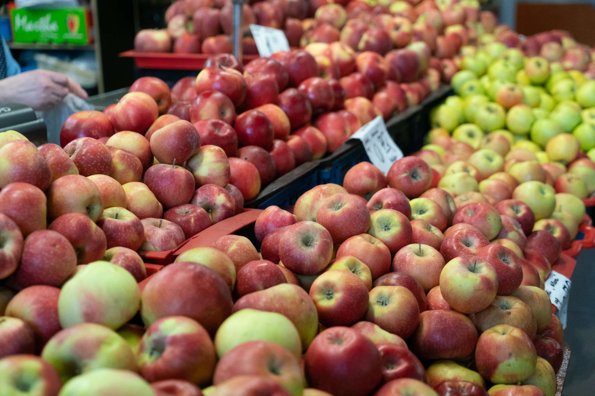 Riga Central Market: Apples © Bachtrack Ltd | David Karlin