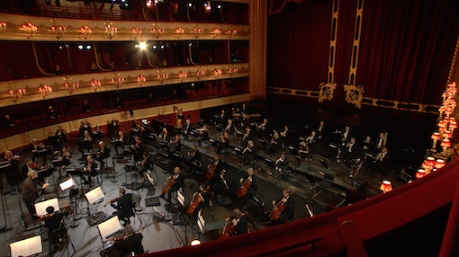 The Orchestra of the Royal Opera House occupy the Stalls, Live in Concert © Royal Opera House