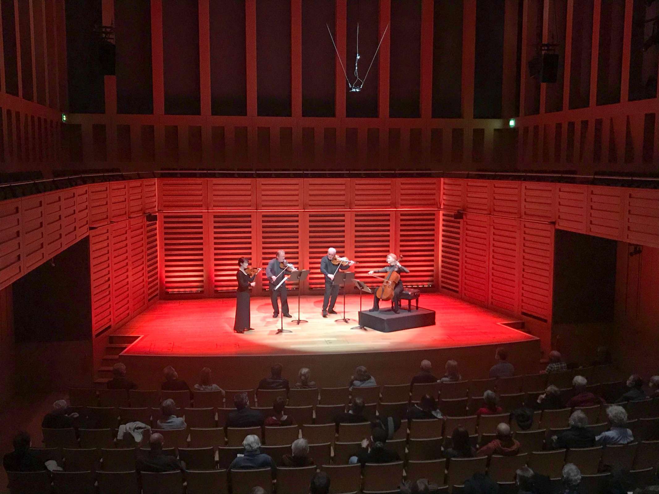 Brodsky Quartet &copy; Rosie Chapman