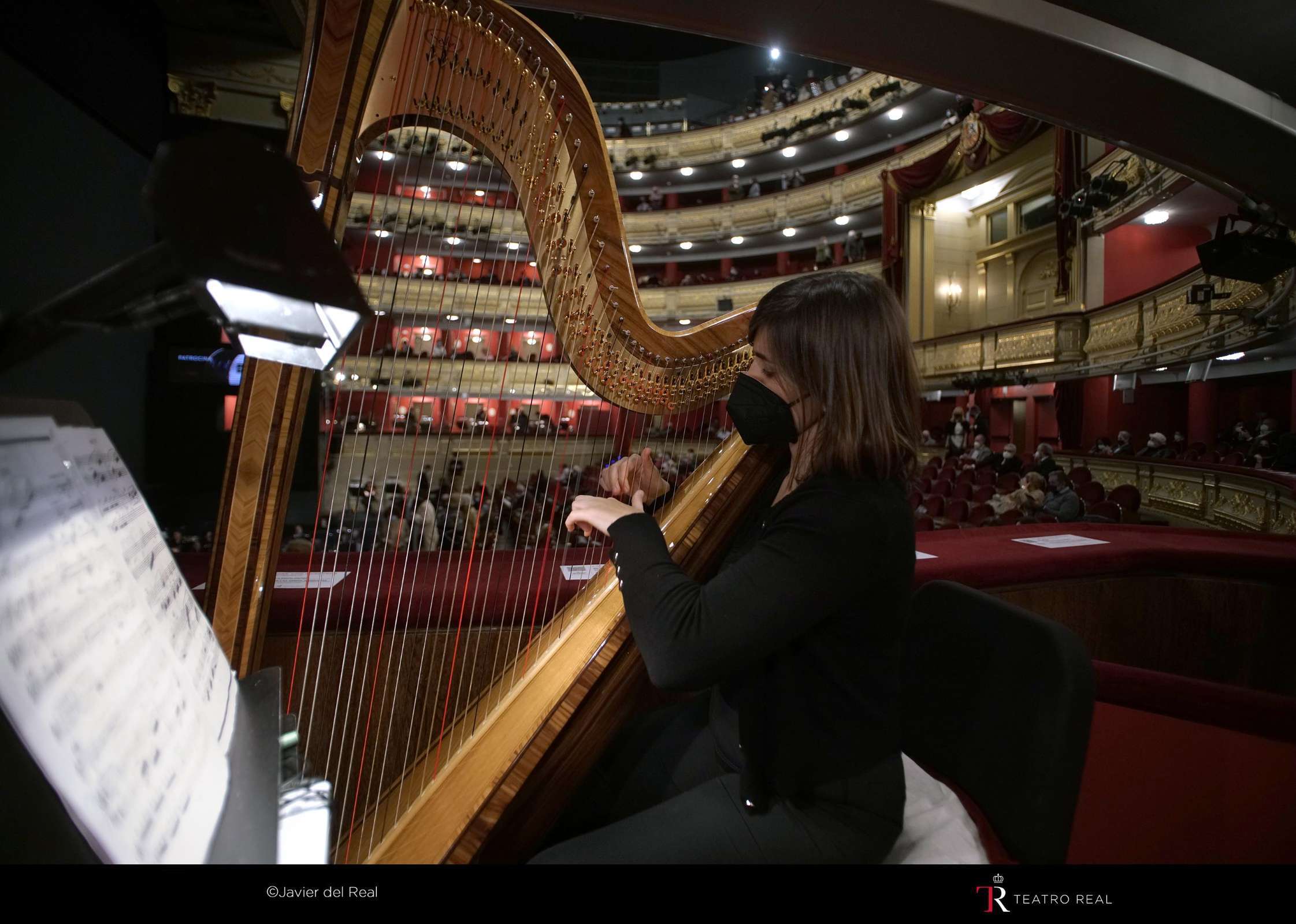 Arpista en un palco para <i>Siegfried</i>, febrero de 2021 © Javier del Real | Teatro Real