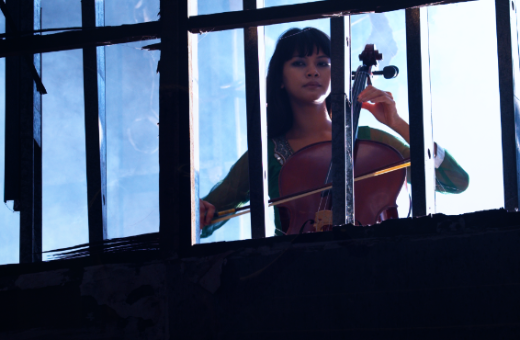 <i>The Maestro: A Symphony of Terror</i> © Titania Pictures