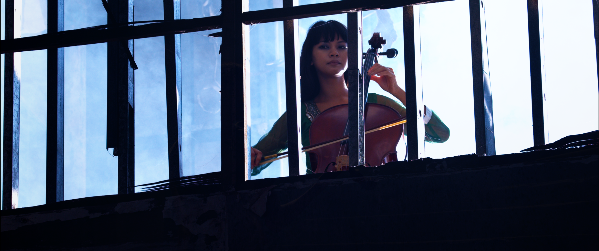 <i>The Maestro: A Symphony of Terror</i> © Titania Pictures