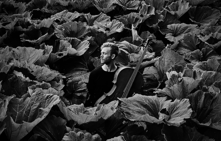 Theodor Sink, cellist &copy; Kaupo Kikkas