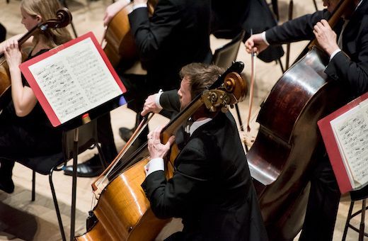 Principal double bass, Tom Gibbs &copy; Camilla Greenwell