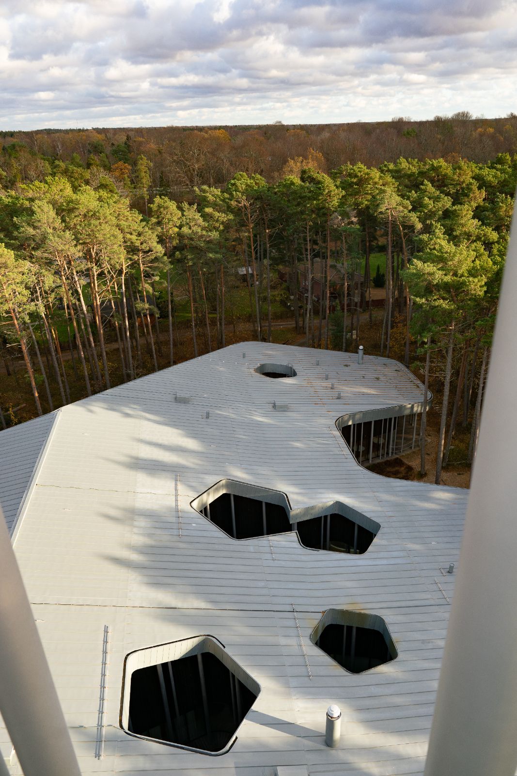 Arvo Pärt Centre seen from its observation tower © Bachtrack Ltd | David Karlin