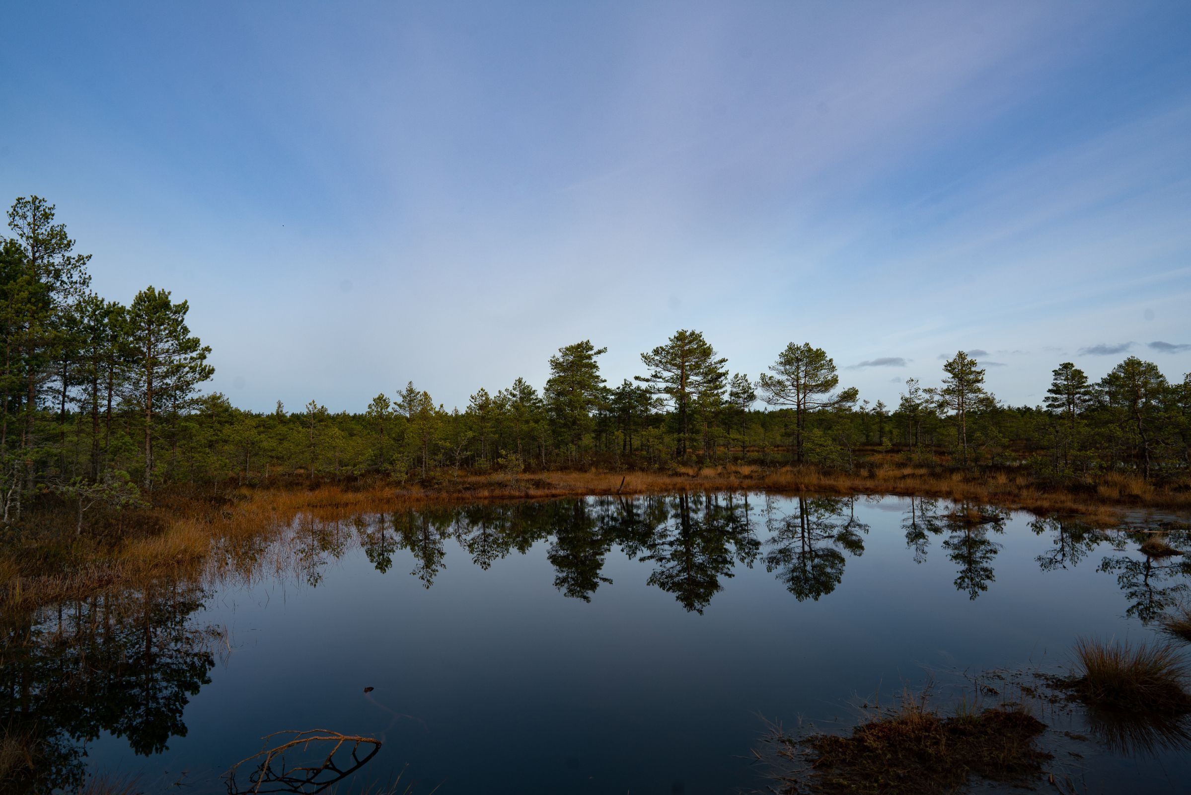 Bog lake at Lahemaa National Park © Bachtrack Ltd | David Karlin