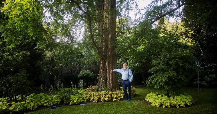 Krzysztof Penderecki next to a bald cypress in his garden in Lusławice © Bartłomiej Barczyk