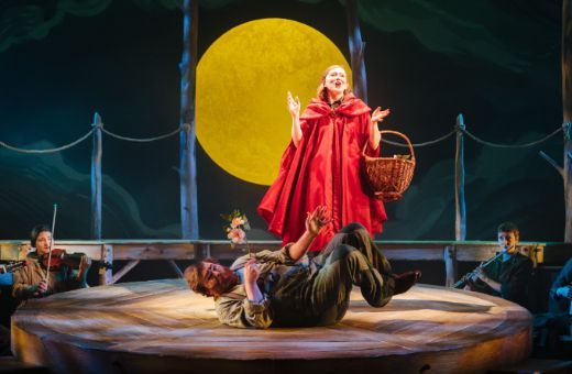 <i>Wolf Witch Giant Fairy</i> © ROH | Helen Murray