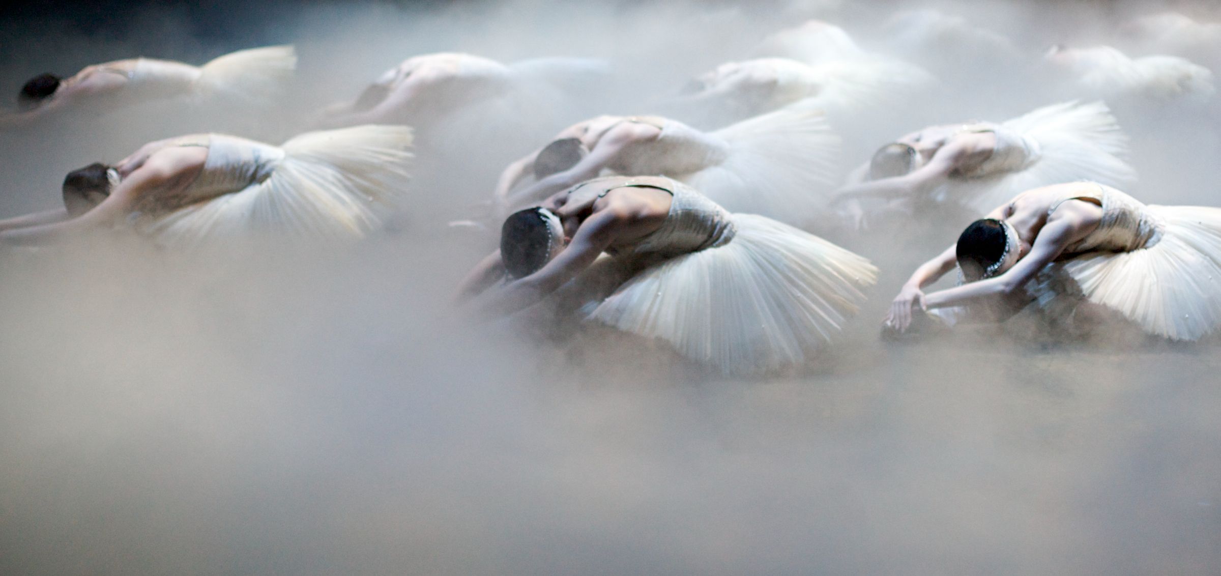 Swan Lake &copy; Andrew Ross