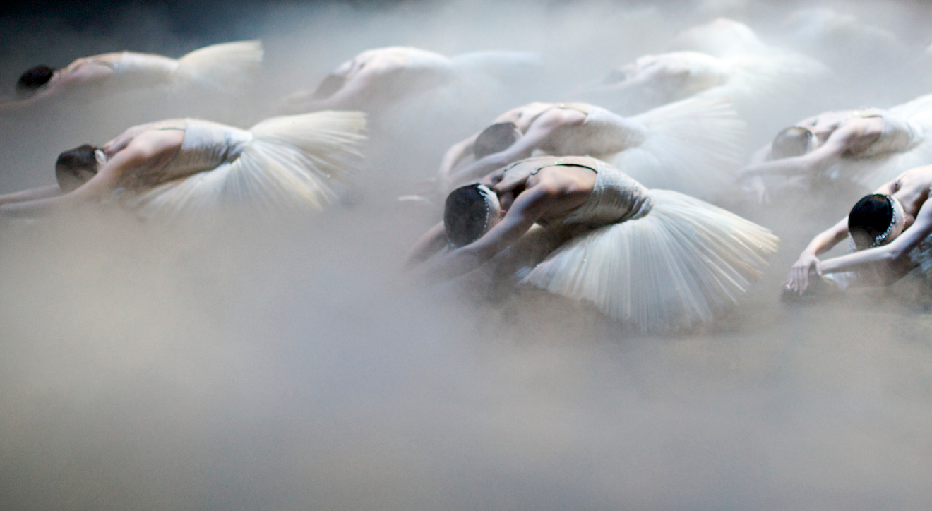 Swan Lake &copy; Andrew Ross