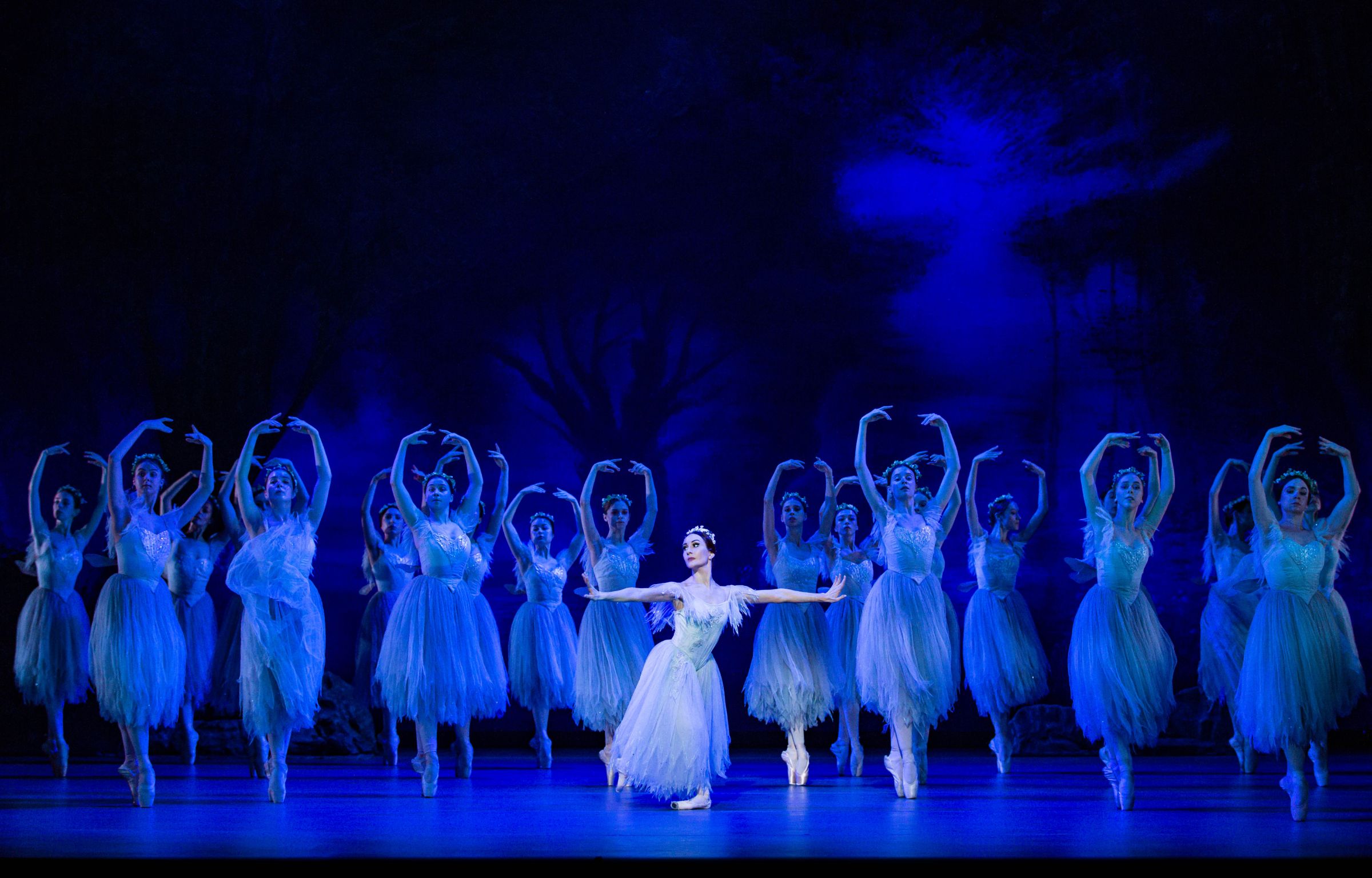 Elizaveta Gogidze and the corps de ballet in <i>Giselle</i> &copy; Mark Senior