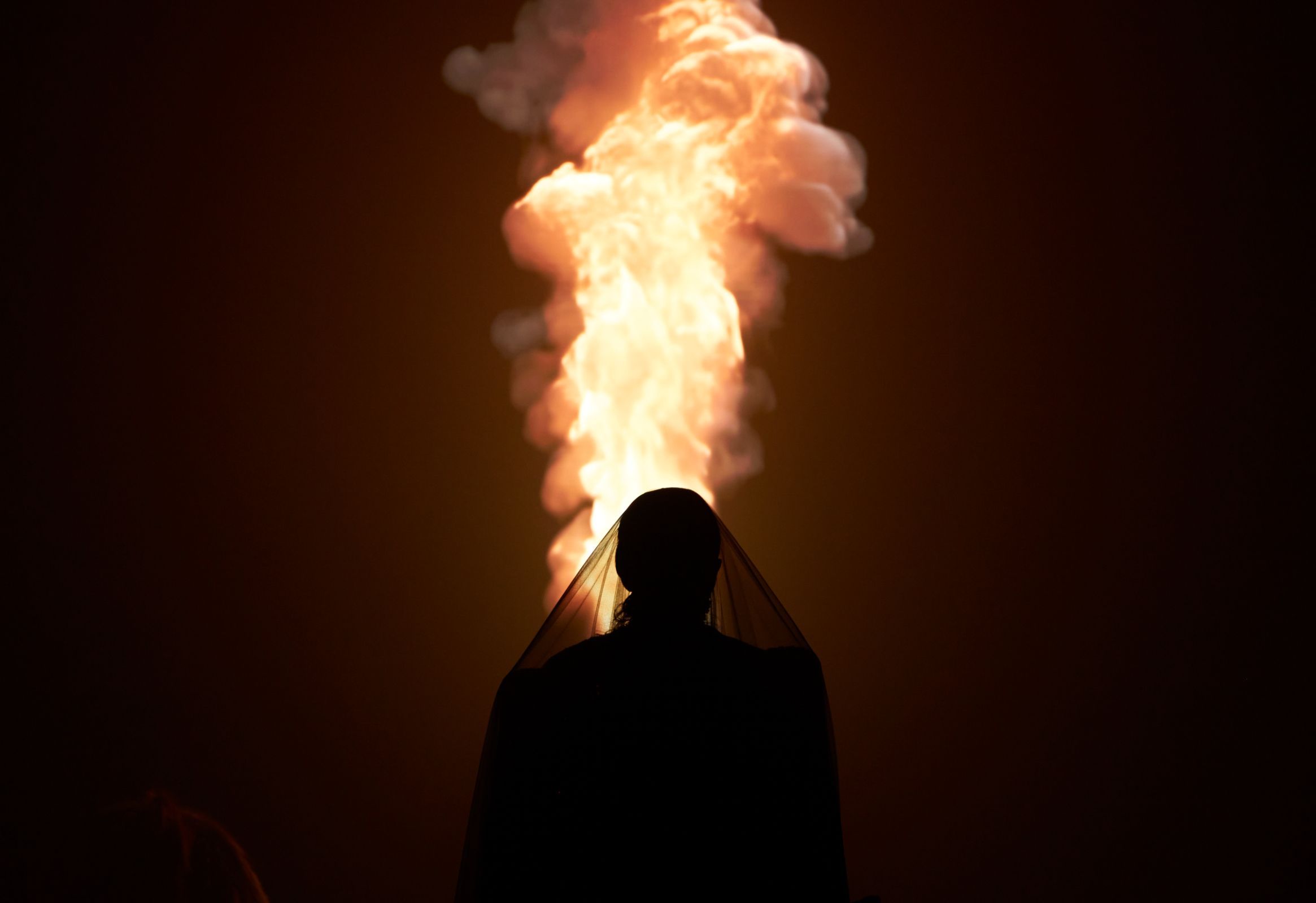 <i>Awakening Shadow</i> &copy; Zan Wimberley