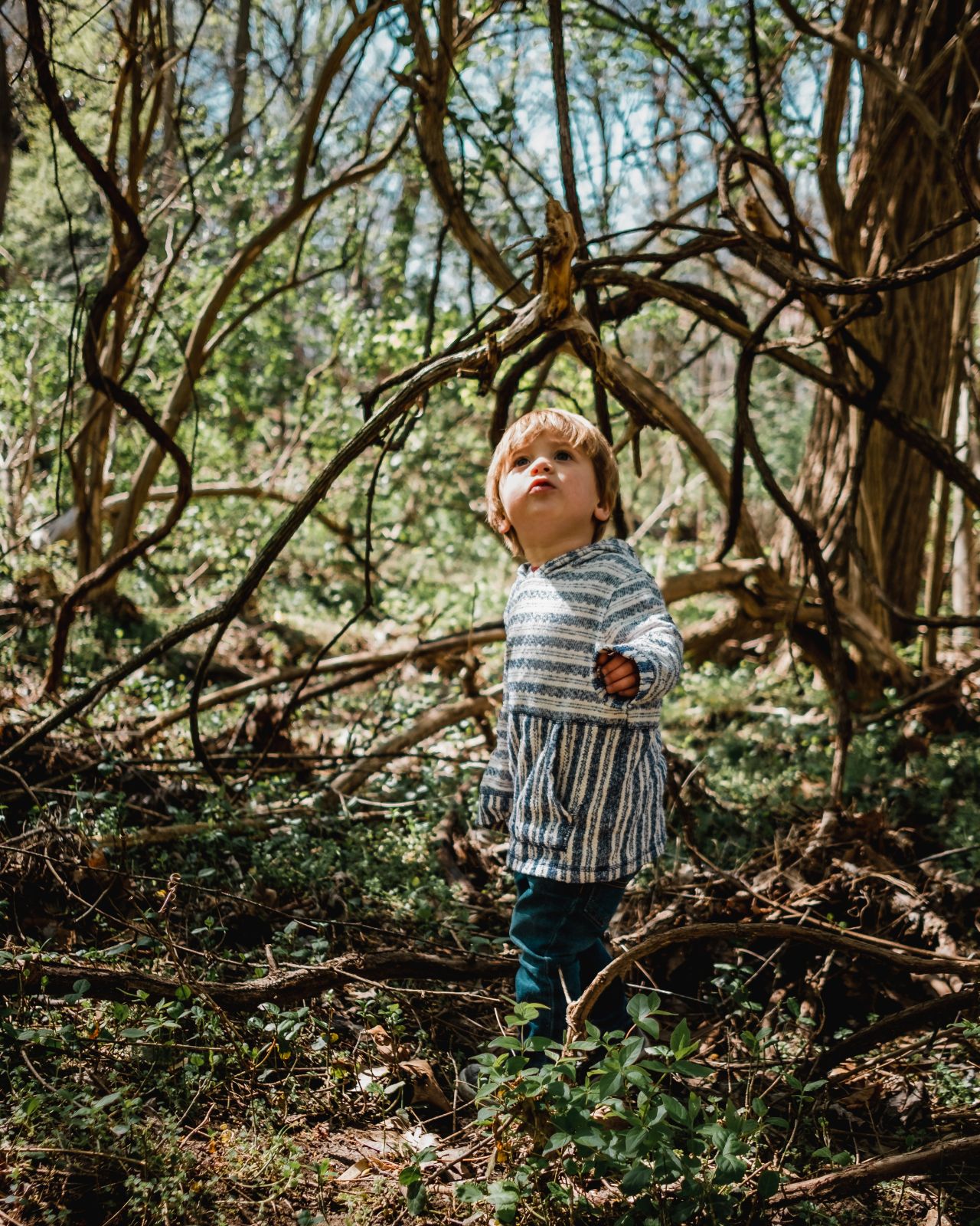 Child in forest &copy; Kyle Nieber | Unsplash