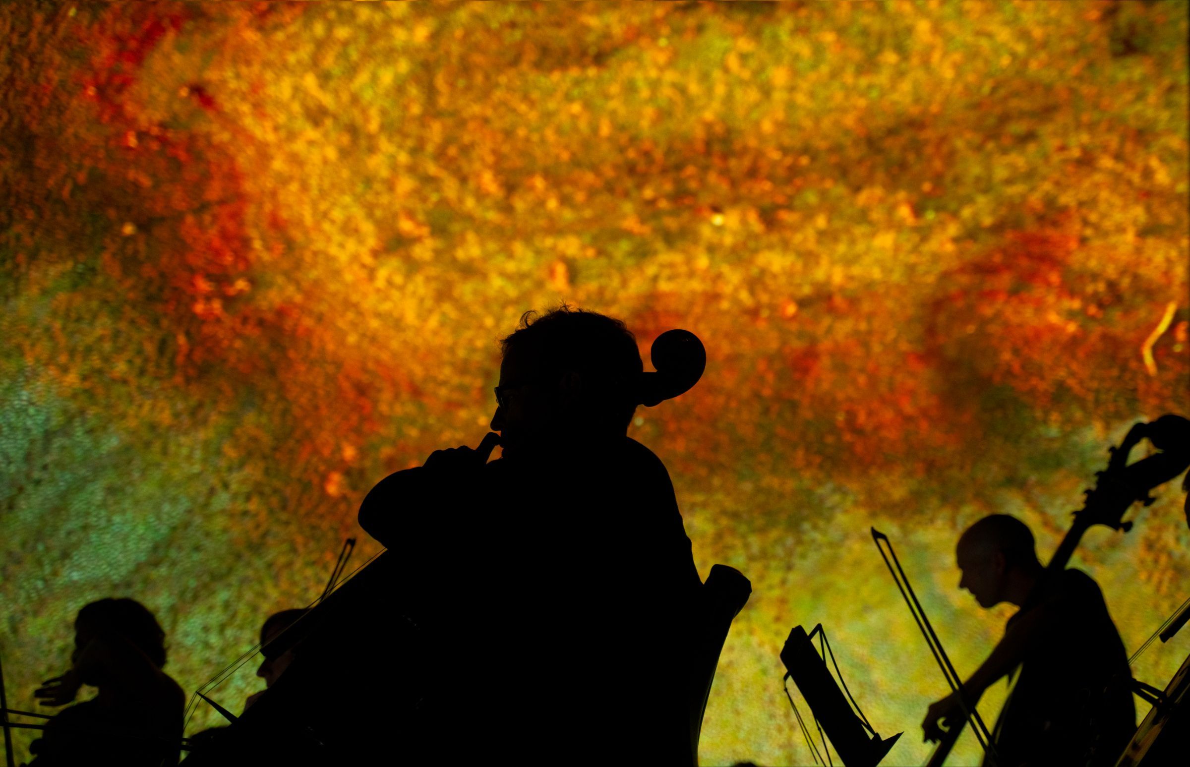 The Australian Chamber Orchestra perform <i>River</i> © Nic Walker | ACO