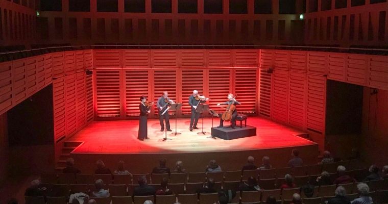 Brodsky Quartet &copy; Rosie Chapman