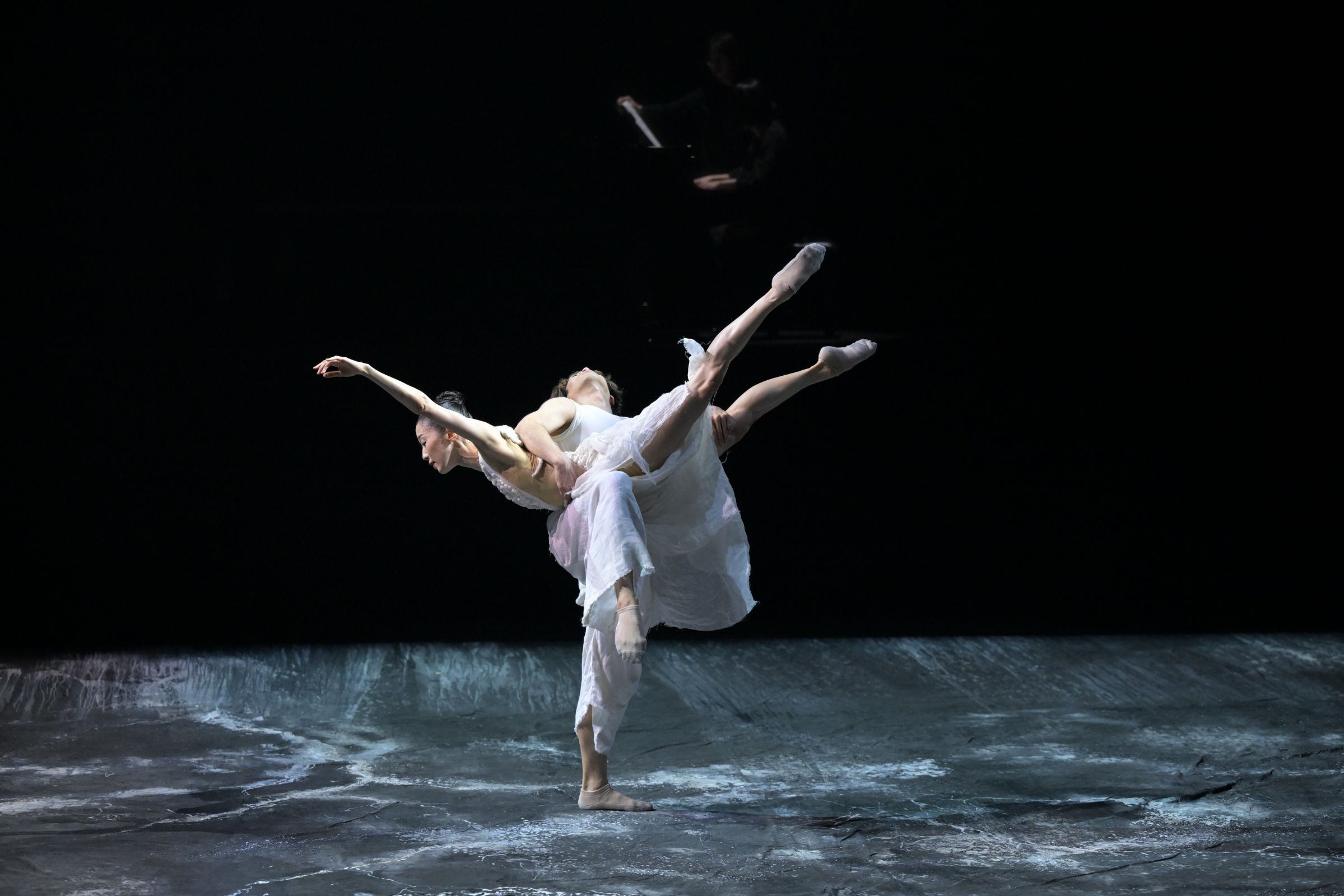 <i>The Rite of Spring</i> &copy; Takashi Shikama