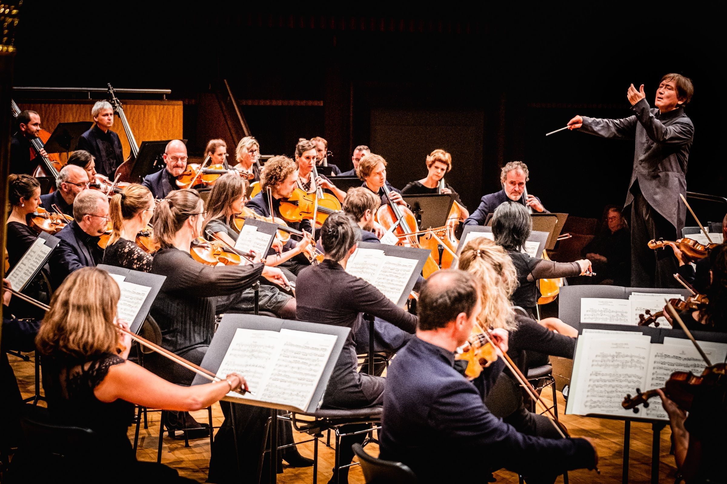 Brussels Philharmonic, Belgium © Wouter Van Vaerenbergh
