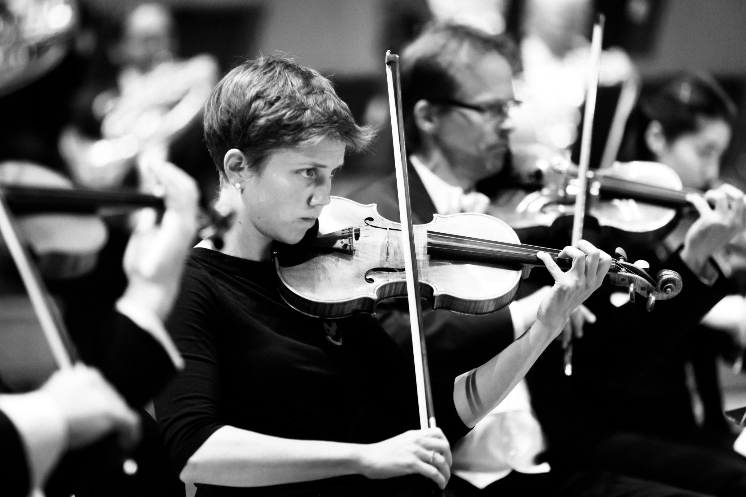String players of the Bamberg Symphony © Andreas Herzau