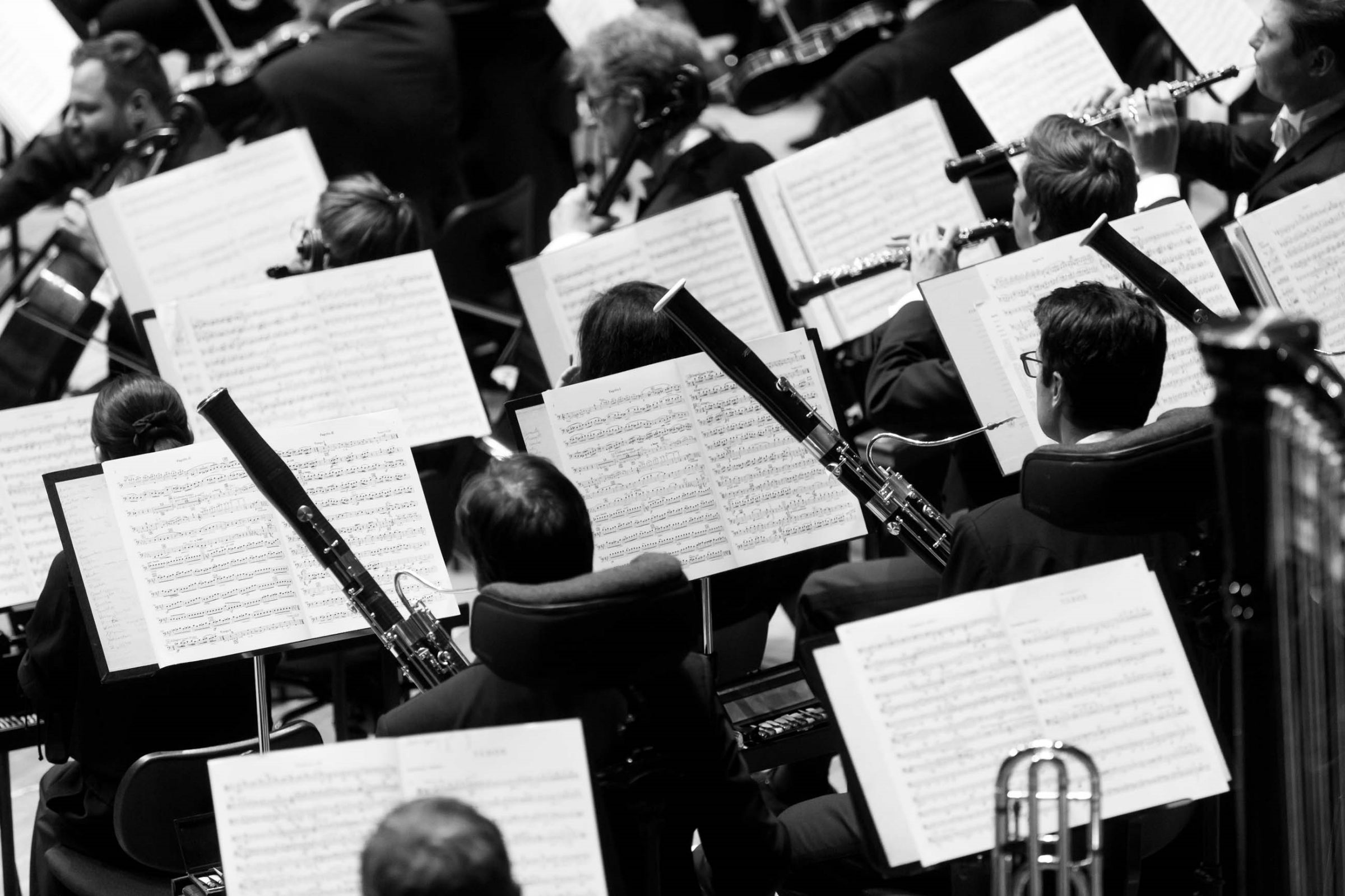 Woodwind players of the Bamberg Symphony © Andreas Herzau