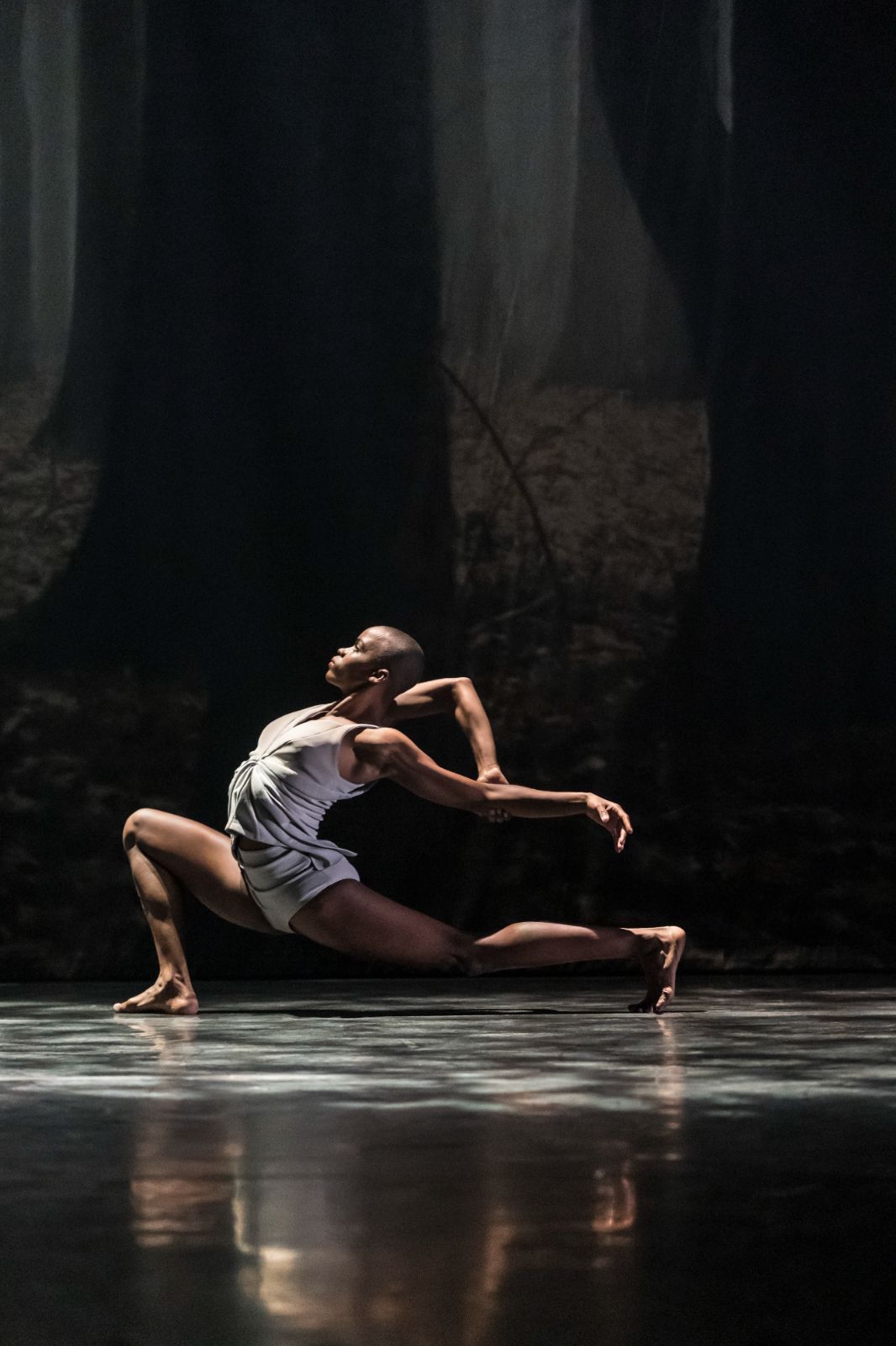 Zeleidy Crespo in <i>Faun</i> &copy; Johan Persson