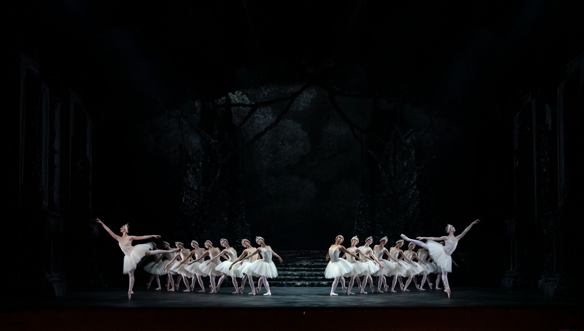 Birmingham Royal Ballet in Act 2 of Peter Wright's <i>Swan Lake</i> &copy; Bill Cooper