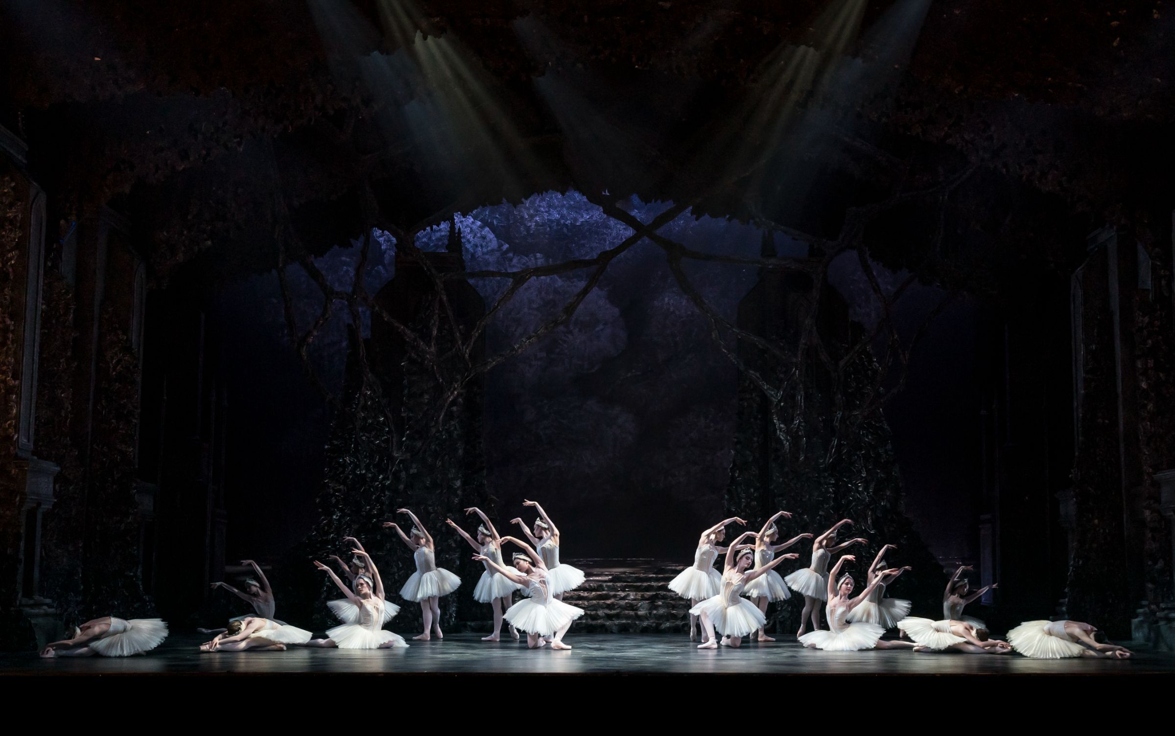 Birmingham Royal Ballet in <i>Swan Lake</i> © Bill Cooper