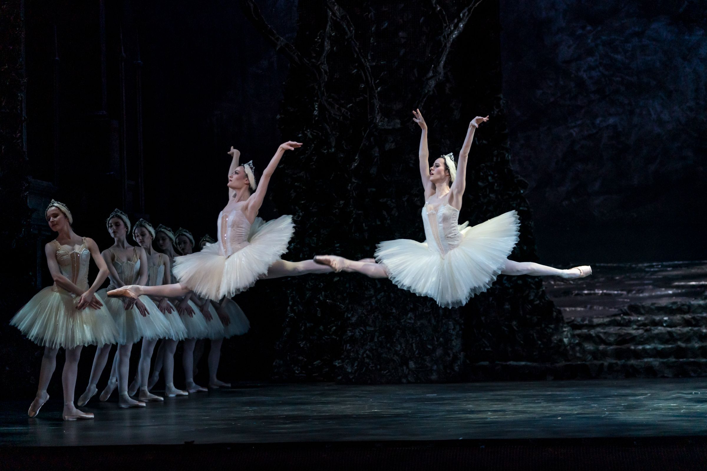 Birmingham Royal Ballet in <i>Swan Lake</i> © Bill Cooper