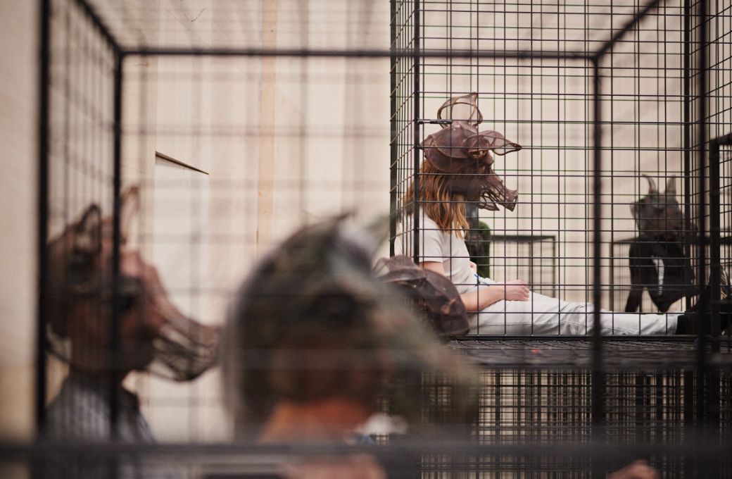 Battery cages in <i>Animal Farm</i> &copy; Milagro Elstak