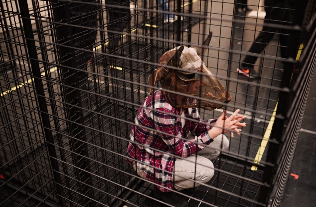 Inside the cage &copy; Milagro Elstak