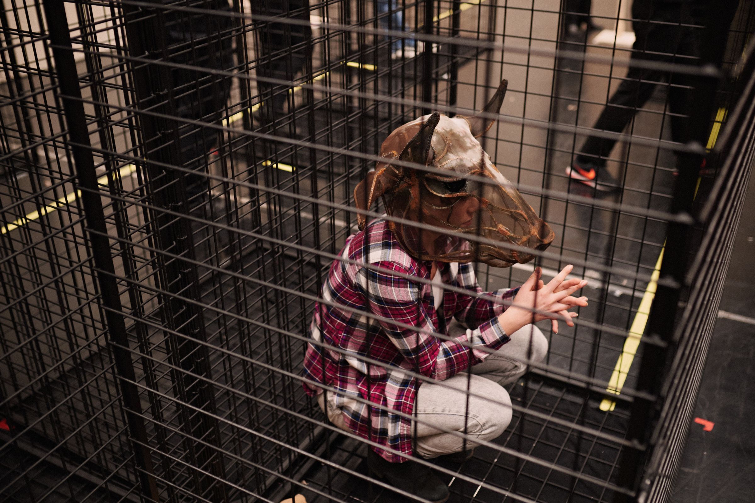 Inside the cage &copy; Milagro Elstak