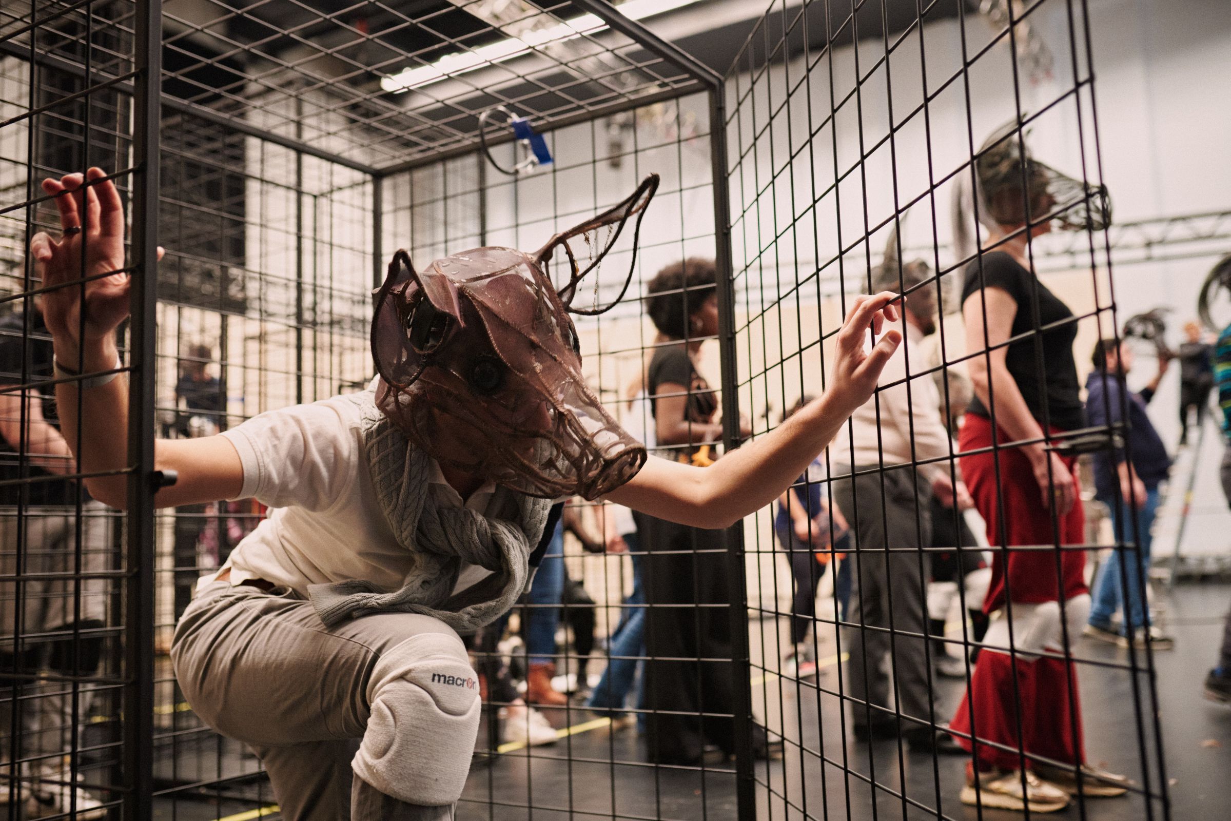 Breaking free of the cage &copy; Milagro Elstak