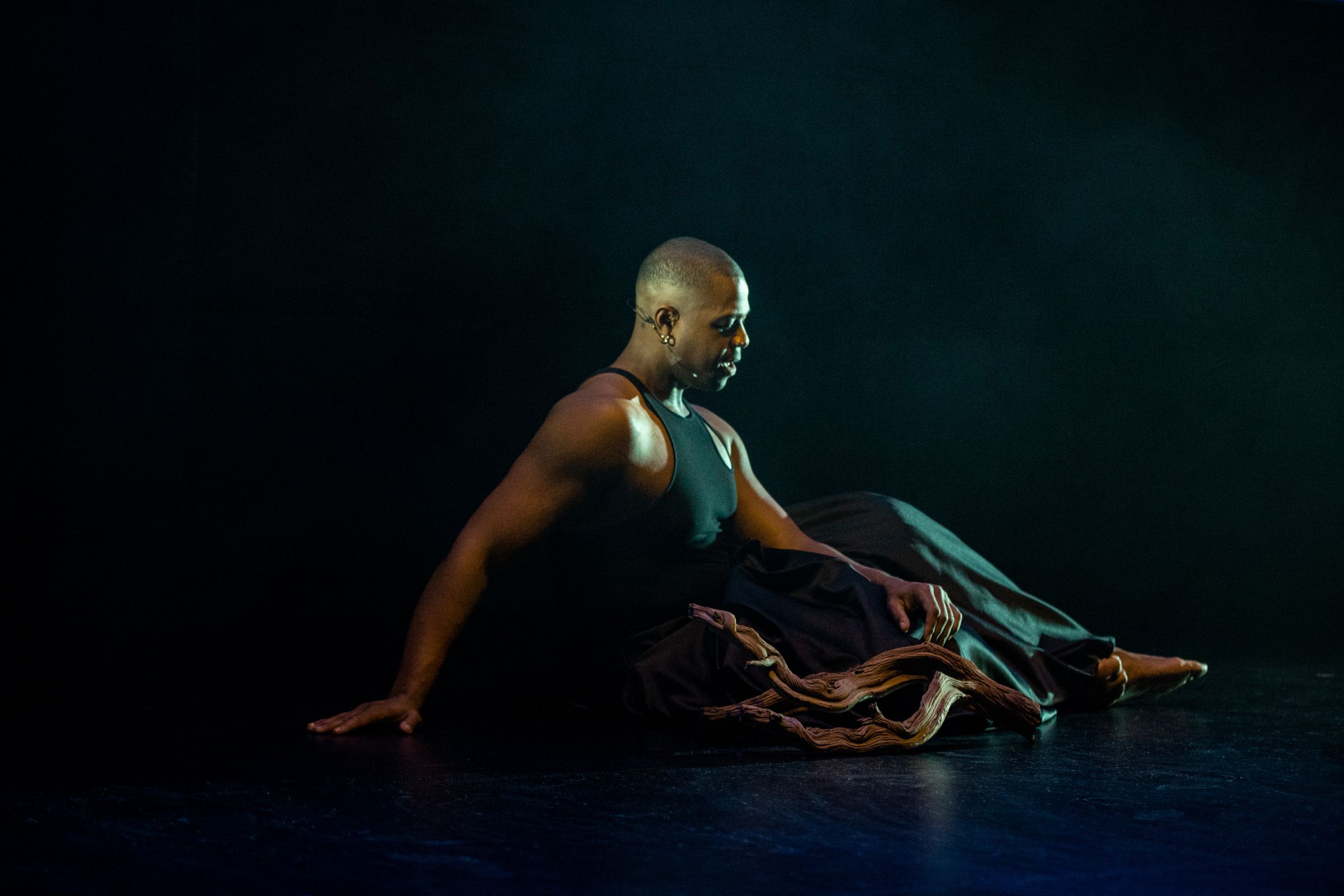 Davóne Tines in <i>Everything Rises</i> at Brooklyn Academy of Music &copy; Ellen Qbertplaya