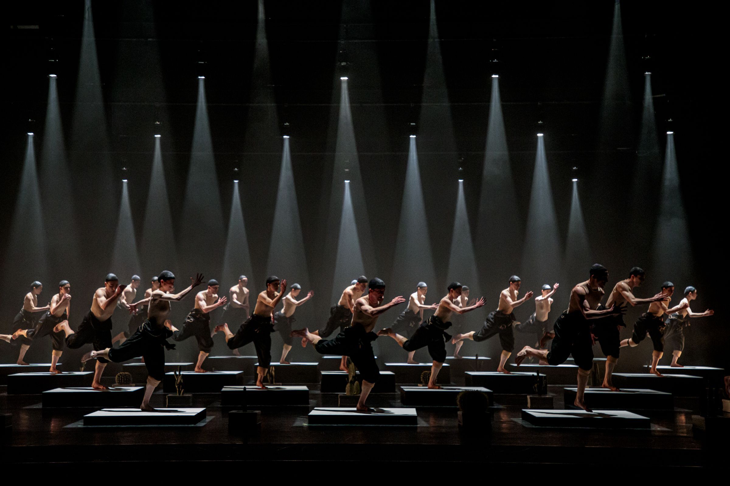 Staatsballett Berlin in Alexander Ekman's <i>Cacti</i> © Yan Revazov