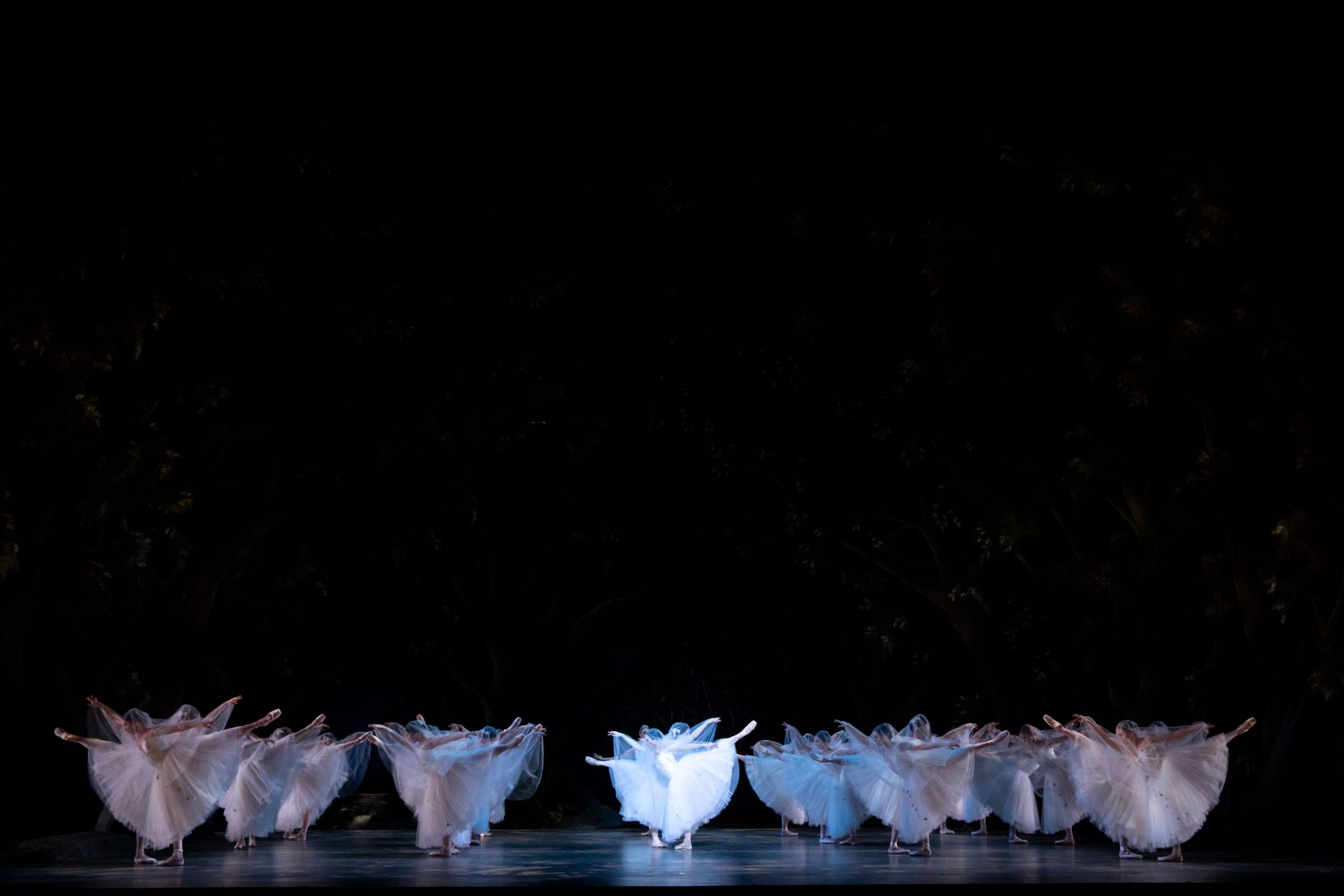 Act 2 of Helgi Tomasson's <i>Giselle</i> &copy; Lindsay Thomas
