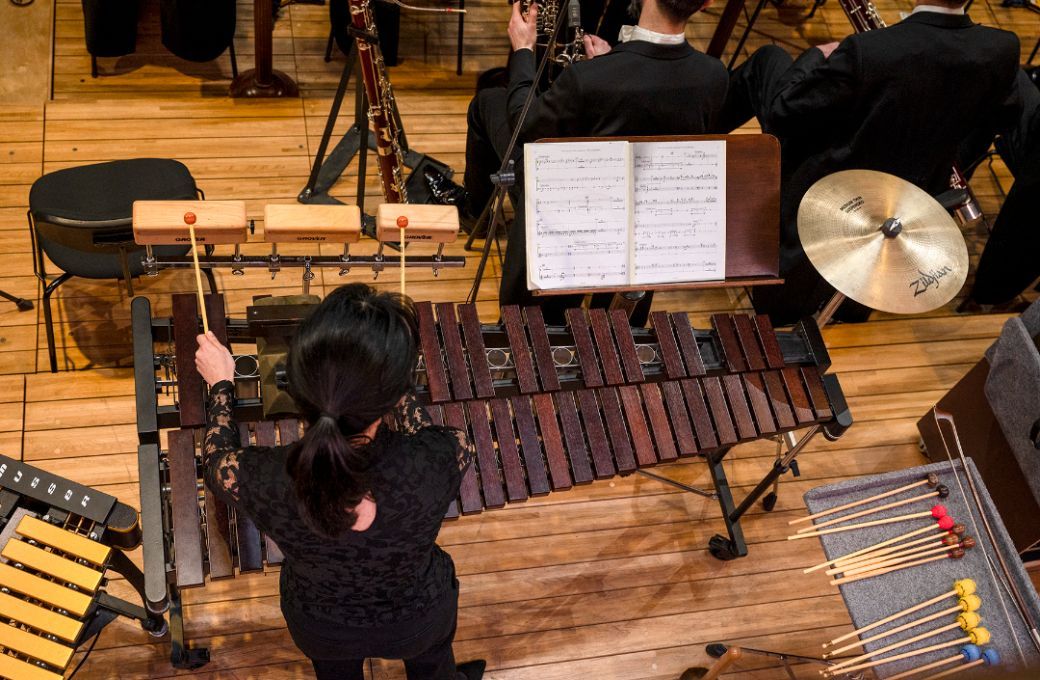 Czech Philharmonic percussionist &copy; Petr Kadlec