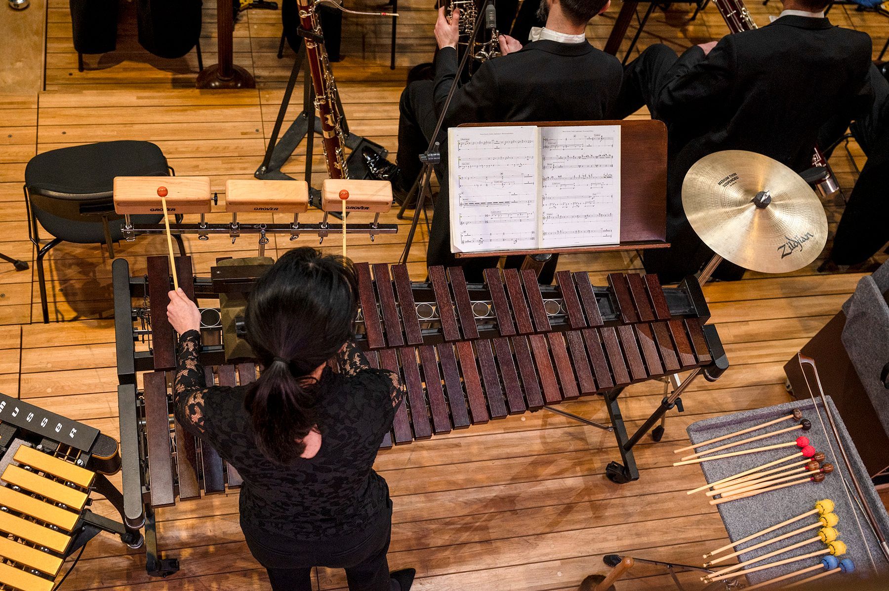 Czech Philharmonic percussionist &copy; Petr Kadlec