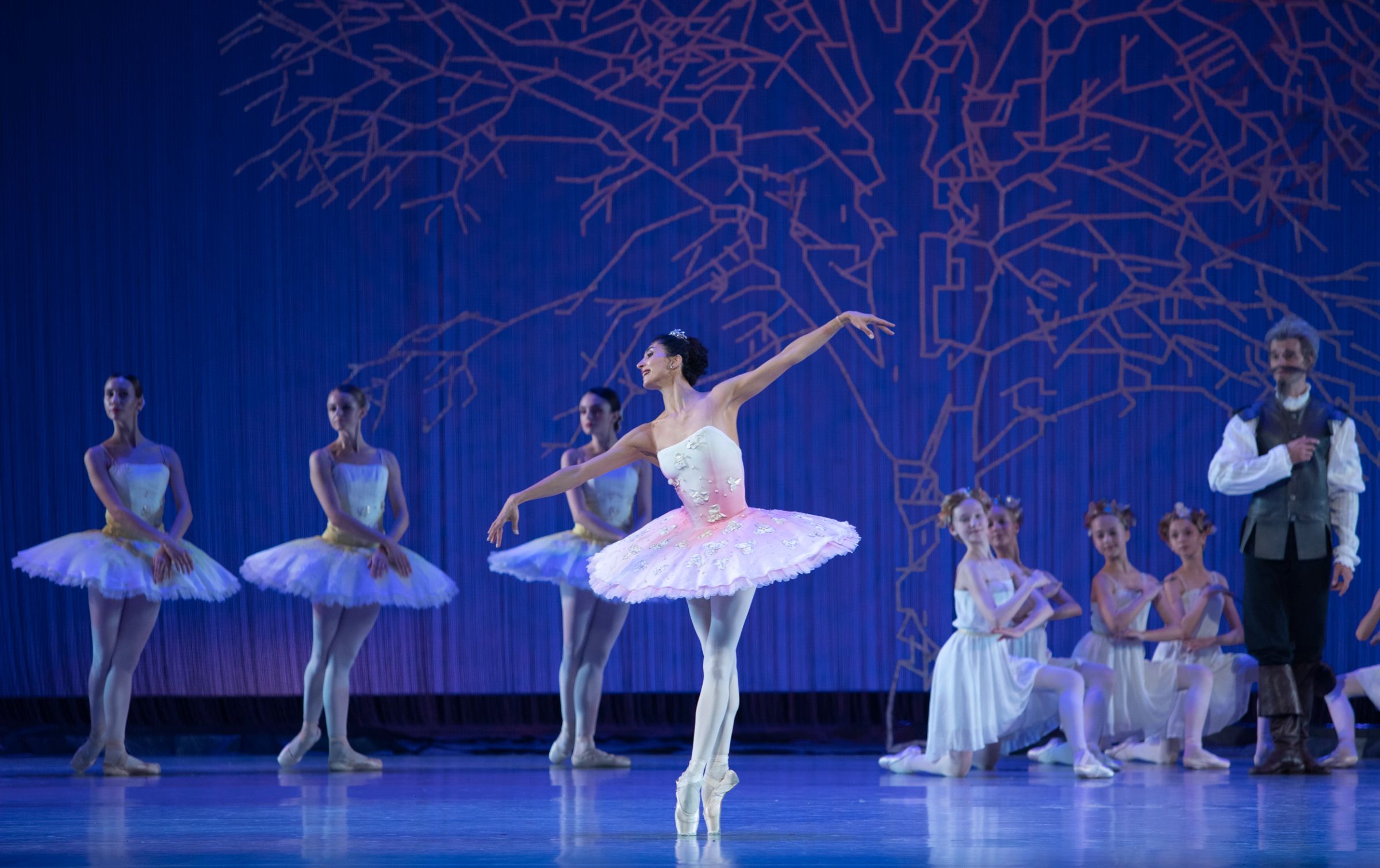 Chinara Alizade and Polish National Ballet in <i>Don Quixote</i> © Ewa Krasucka