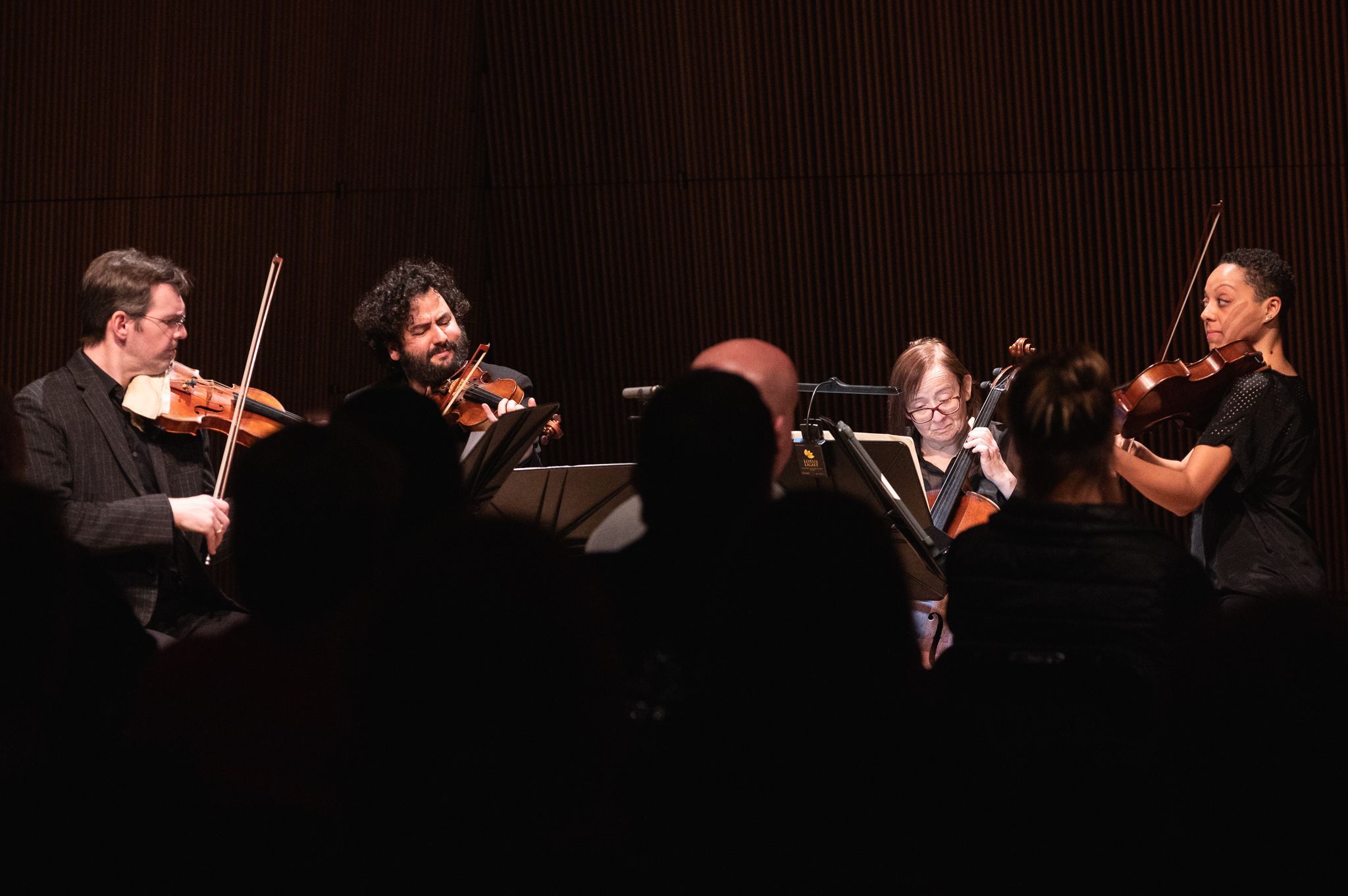 St Luke's Chamber Ensemble &copy; DeShaun Craddock