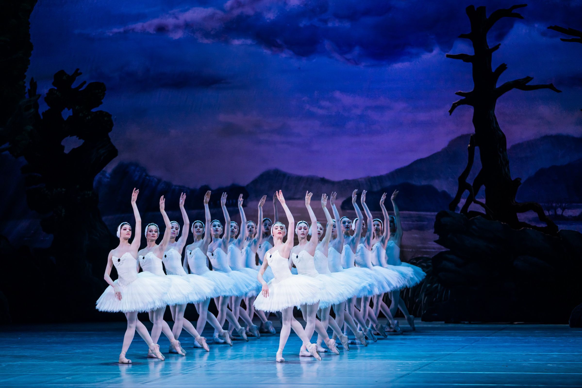 Hungarian National Ballet in Act 2 <i>Swan Lake</i> &copy; Valter Berecz