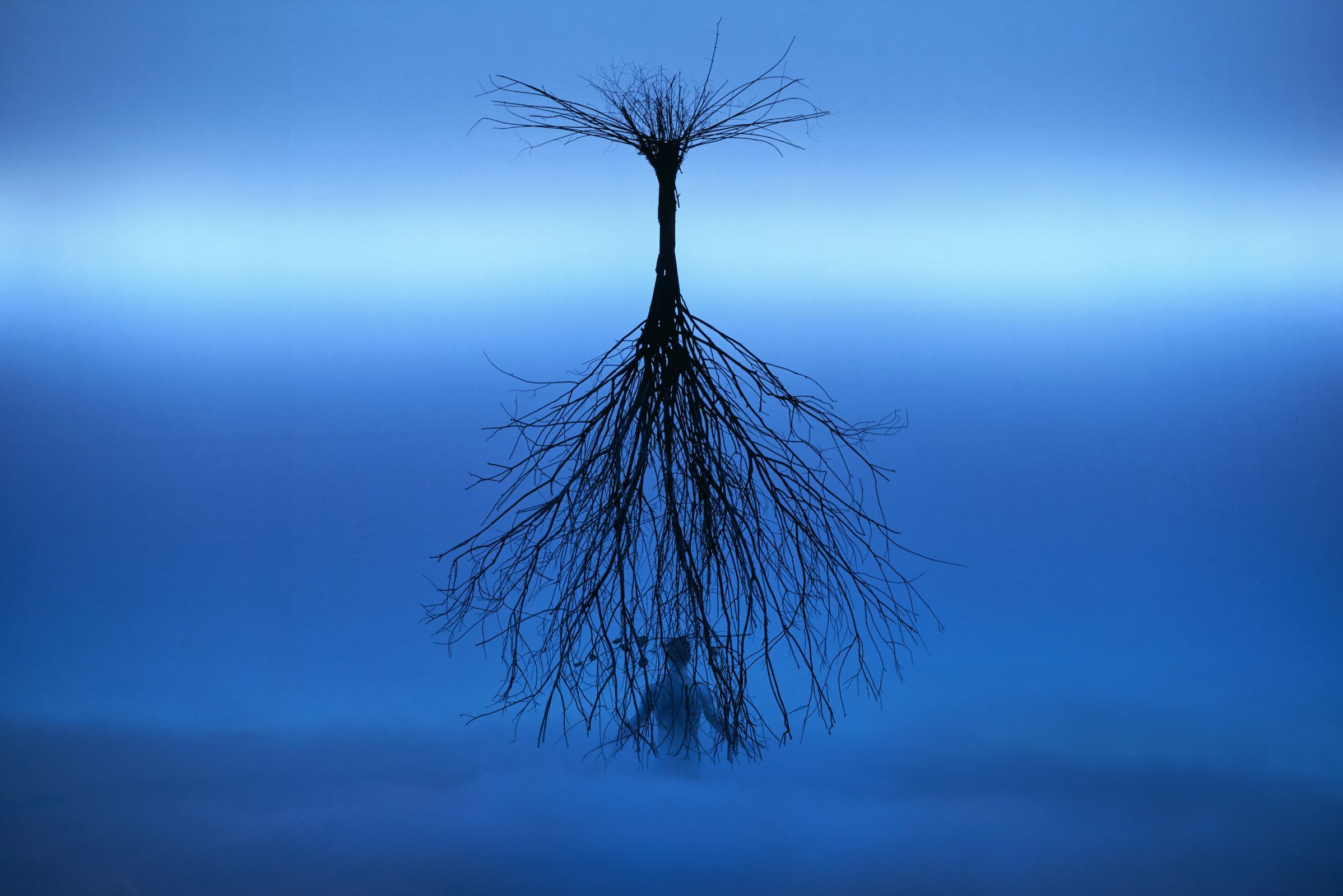 <i>Adam's Passion</i> &copy; Kristian Kruuser &amp; Kaupo Kikkas