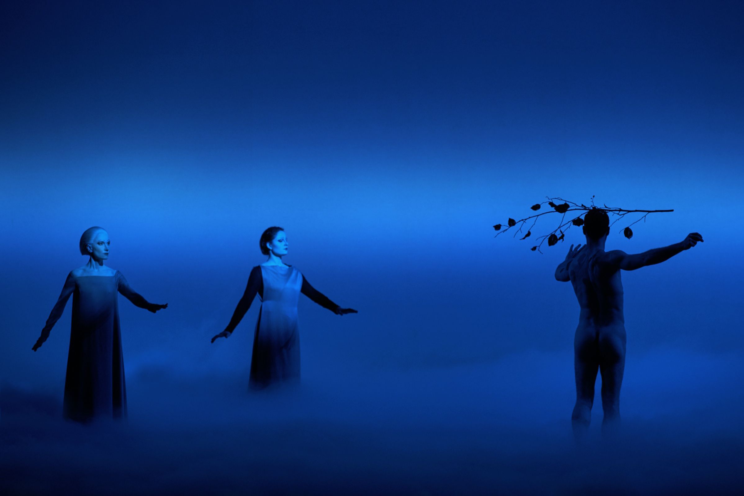 <i>Adam's Passion</i> &copy; Kristian Kruuser &amp; Kaupo Kikkas