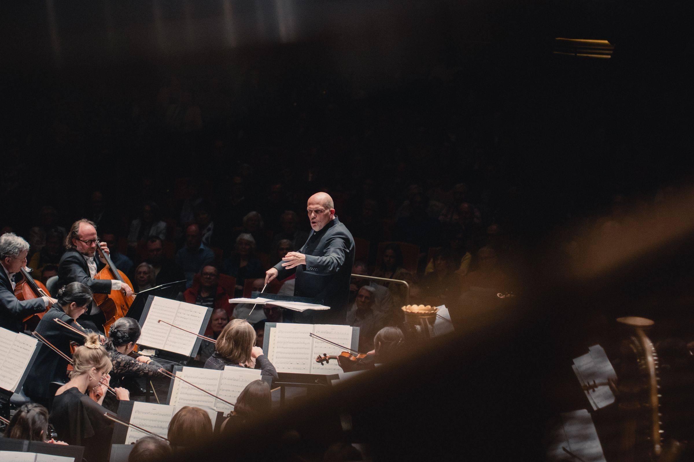 Jaap van Zweden &copy; Vincent Callot/Antwerp Symphony Orchestra
