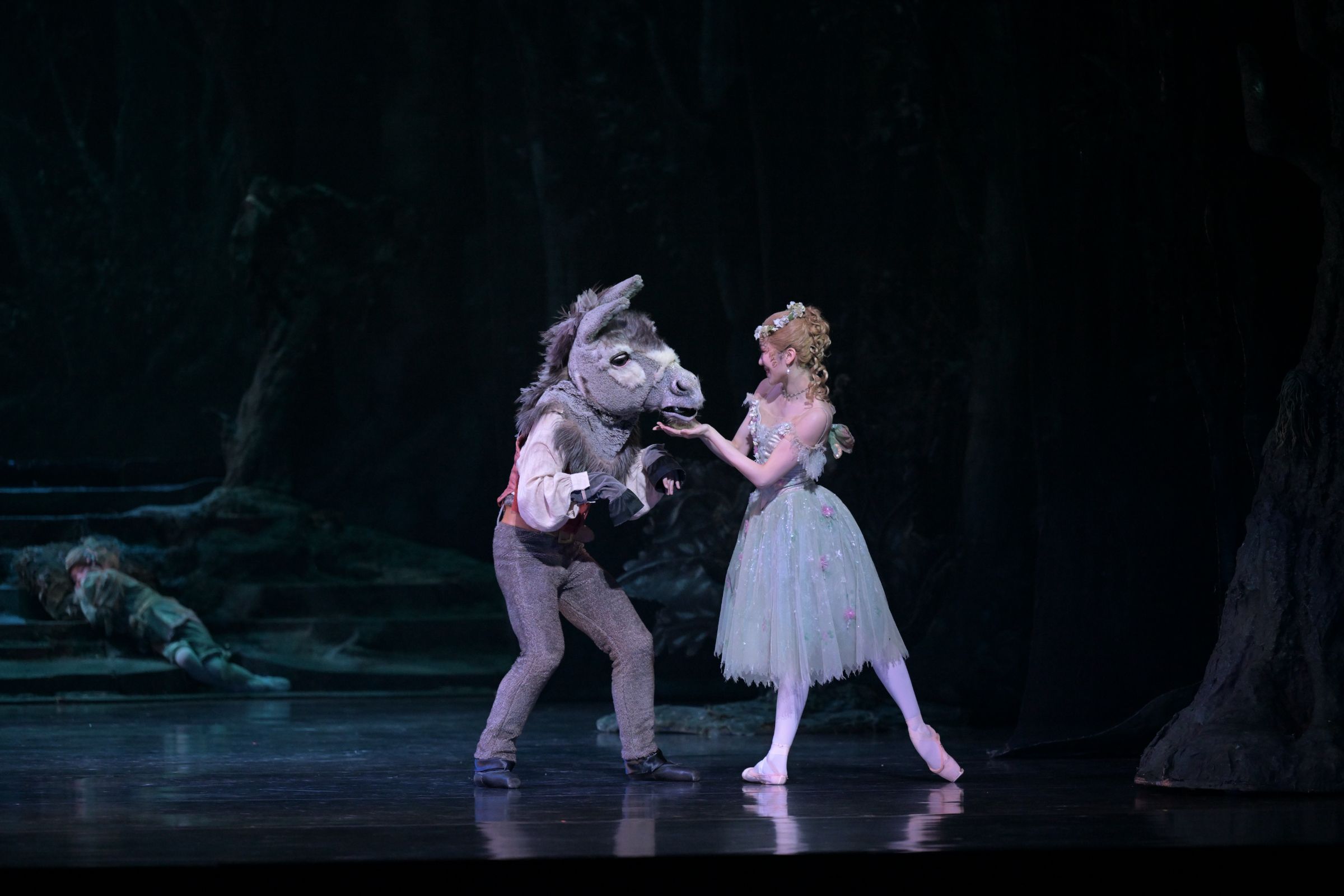 Saho Shibayama as Titania and Yoshito Kinoshita as Bottom in Frederick Ashton's <i>The Dream</i> © Takashi Shikama