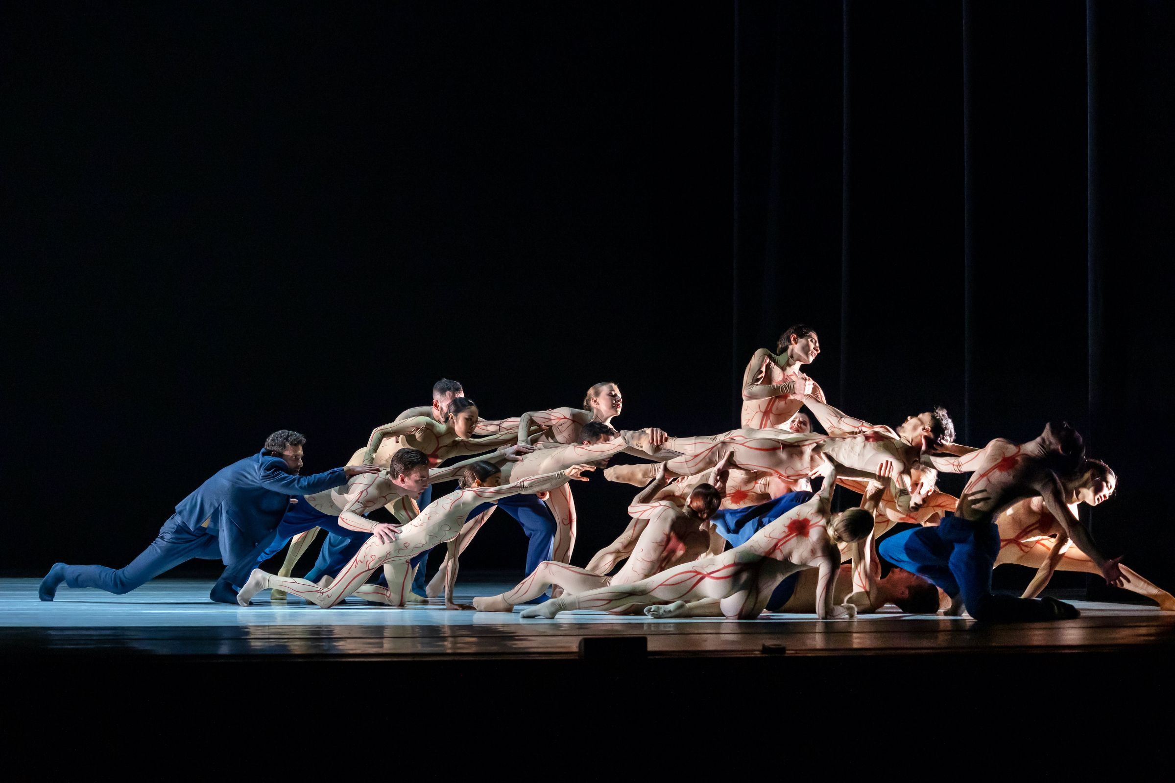 Introdans in Manuel Vignoulle's <i>Anima</i> © Hans Gerritsen