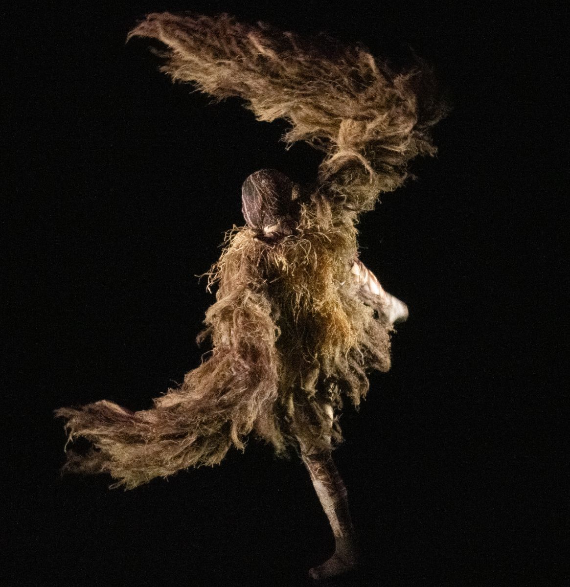 Salvatore De Simone in <i>UniVerse: A Dark Crystal Odyssey</i> © Andrej Uspenski