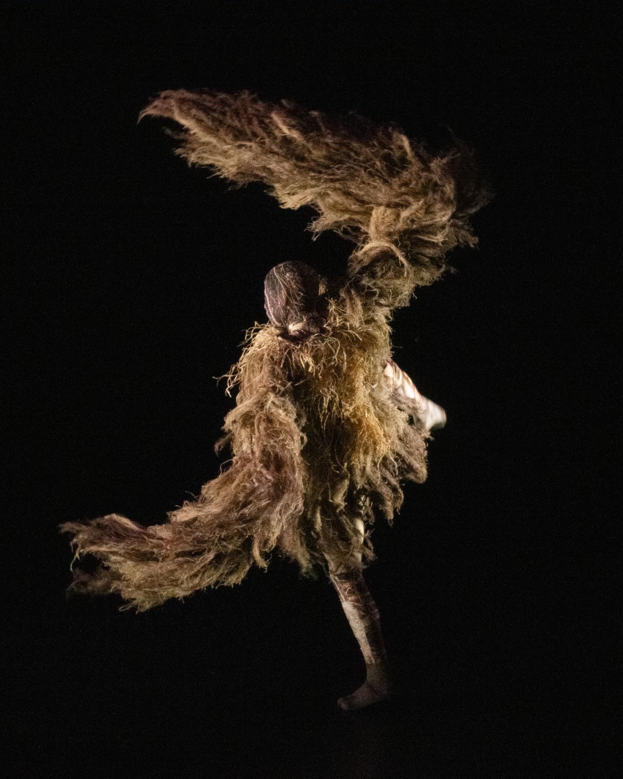 Salvatore De Simone in <i>UniVerse: A Dark Crystal Odyssey</i> © Andrej Uspenski