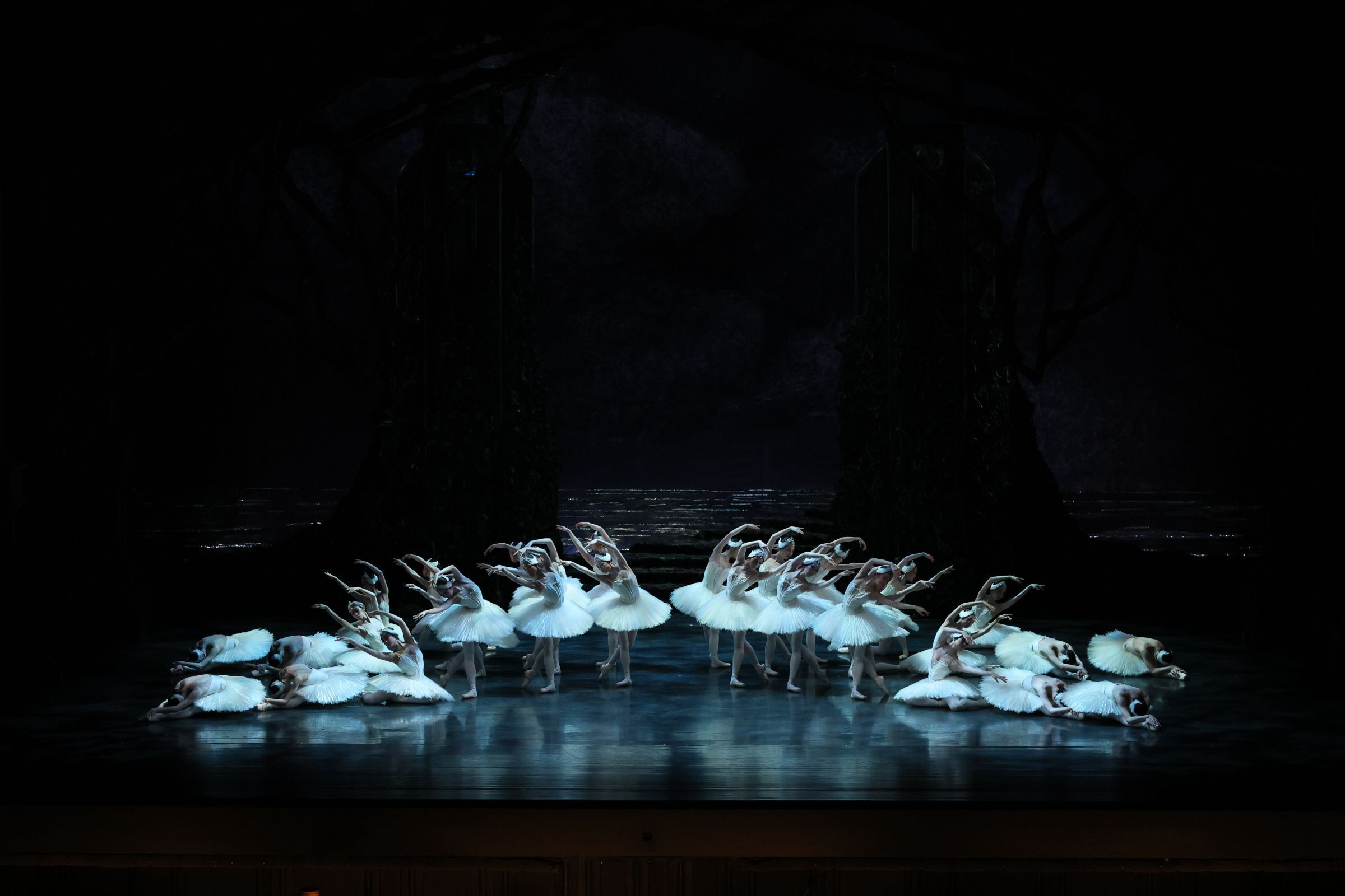 National Ballet of Japan in Act 4 of Peter Wright's <i>Swan Lake</i> &copy; Kiyonori Hasegawa