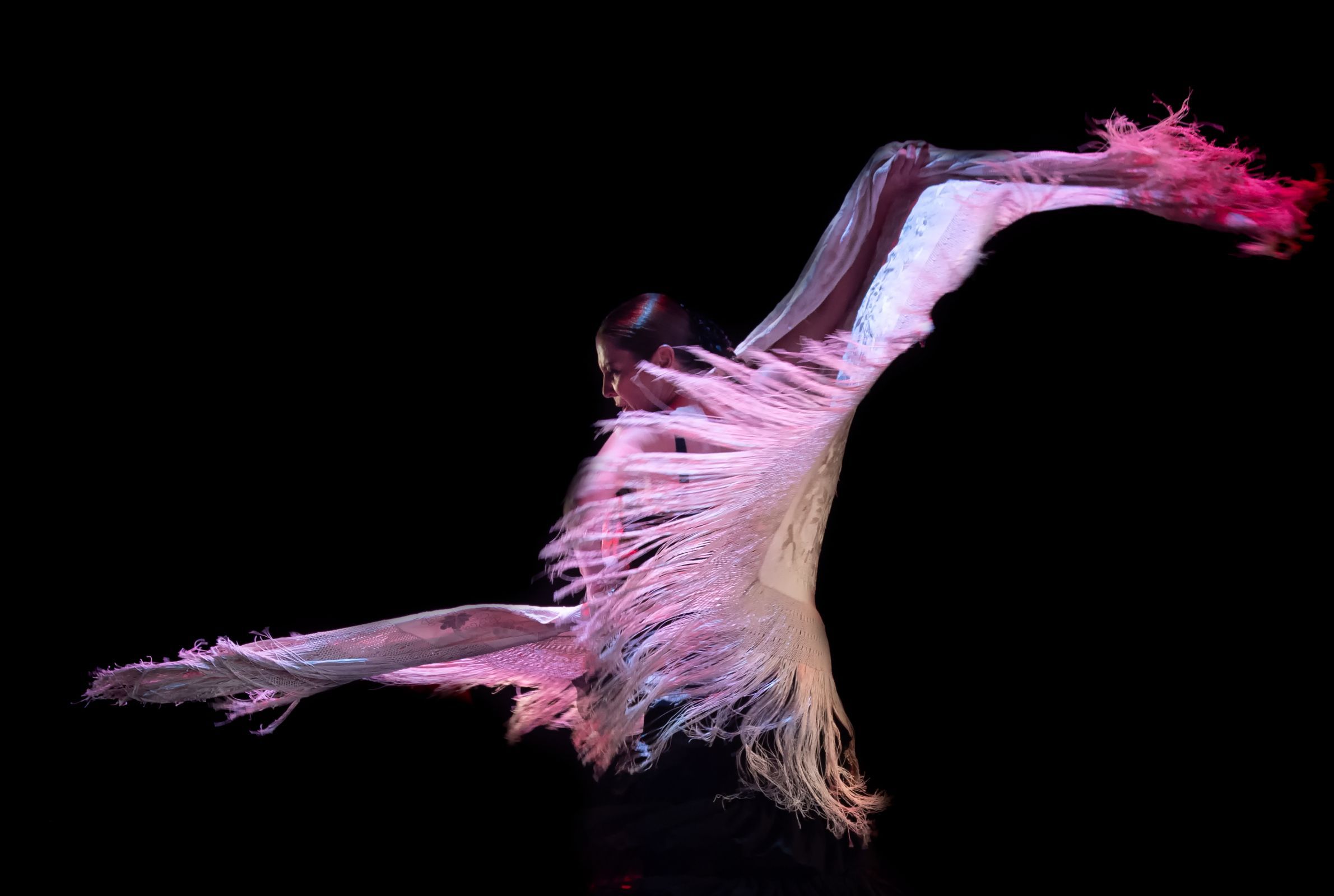 Sara Baras in <i>Alma</i> © Sofia Wittert