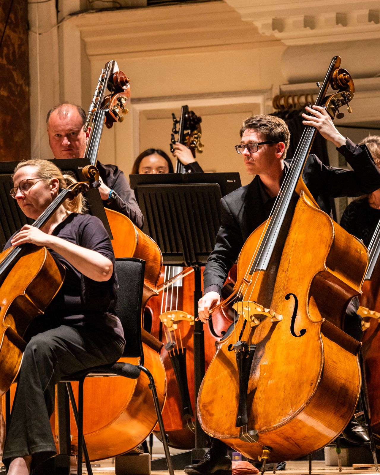 The CBSO double basses © Still Moving Media
